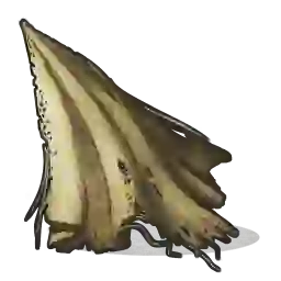 Cloth icon
