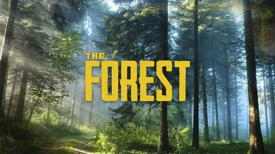 Feature Info Image